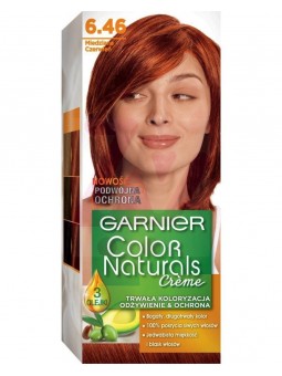 Garnier Color Naturals Hair...