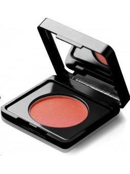 Paese Artist Blusher /60/