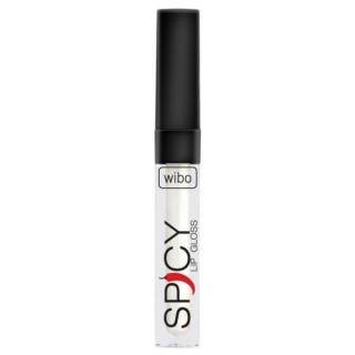 Wibo Spicy Lipgloss /10/