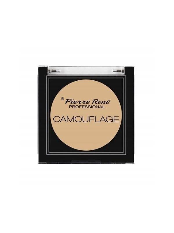 Консилер Pierre Rene Professional Camouflage Facial /01/ 5 г