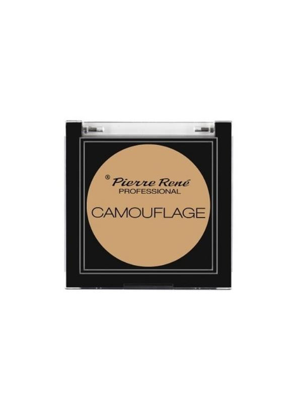 Консилер Pierre Rene Professional Camouflage Facial /02/ 5 г