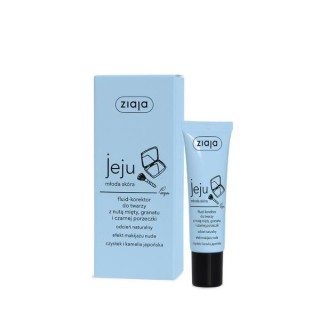 Ziaja Jeju Fluide-anticernes pour le visage 30 ml