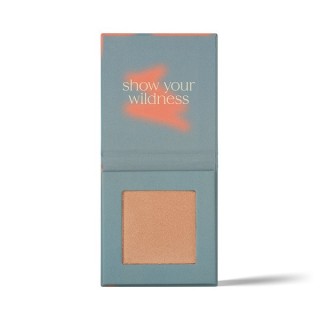 Хайлайтер Paese Dewy Sunrise 8 г