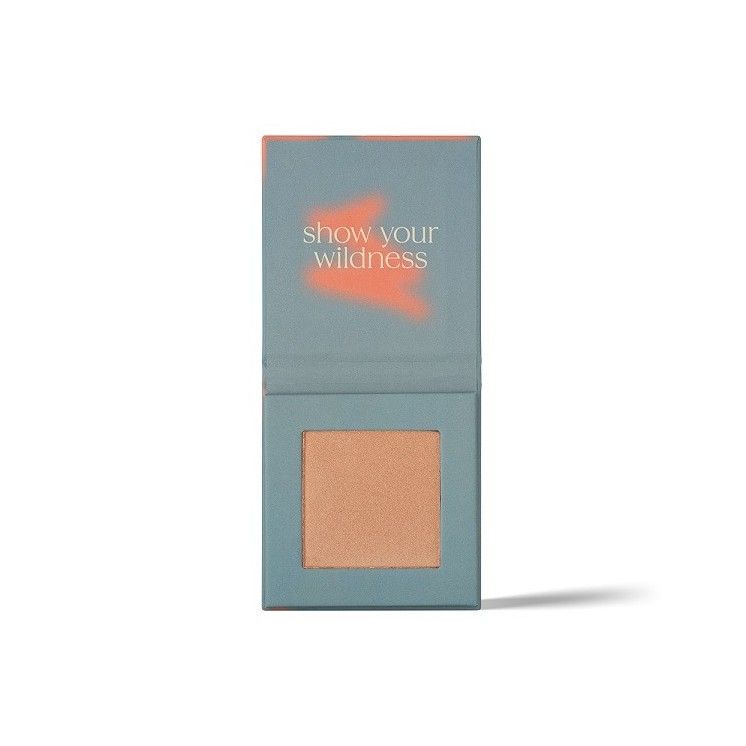 Хайлайтер Paese Dewy Sunrise 8 г