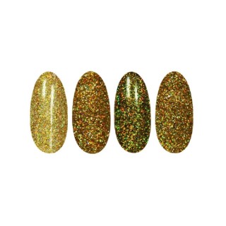 Ronney Holo Effect nail powder /16/ Gold