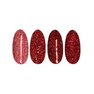 Ronney Nail powder Holo Effect /17/ Red