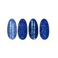 Ronney Holo Effect nagelpoeder /23/ Blauw Ronney Holo Effect nagelpoeder /23/ Blauw