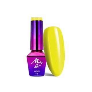 MollyLac /118/ Welcome to Ibiza Hybrid Nail Polish Sunshine Heat 5 мл