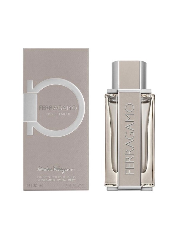 Salvatore ferragamo parfum men online