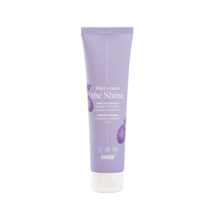 Anwen Here Comes The Shine Gloss Primer voor medium poreus haar 100 ml