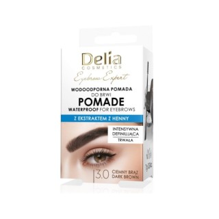 Delia Wenkbrauwpomade /3.0/ Donkerbruin 7g