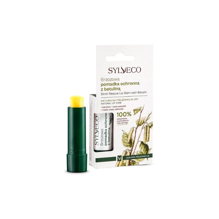 Sylveco Birch Protective Lipstick mit Betulin 4,6 g