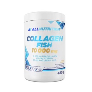 AllNutrition Collagen Fisch 10000mg Mango 480 g